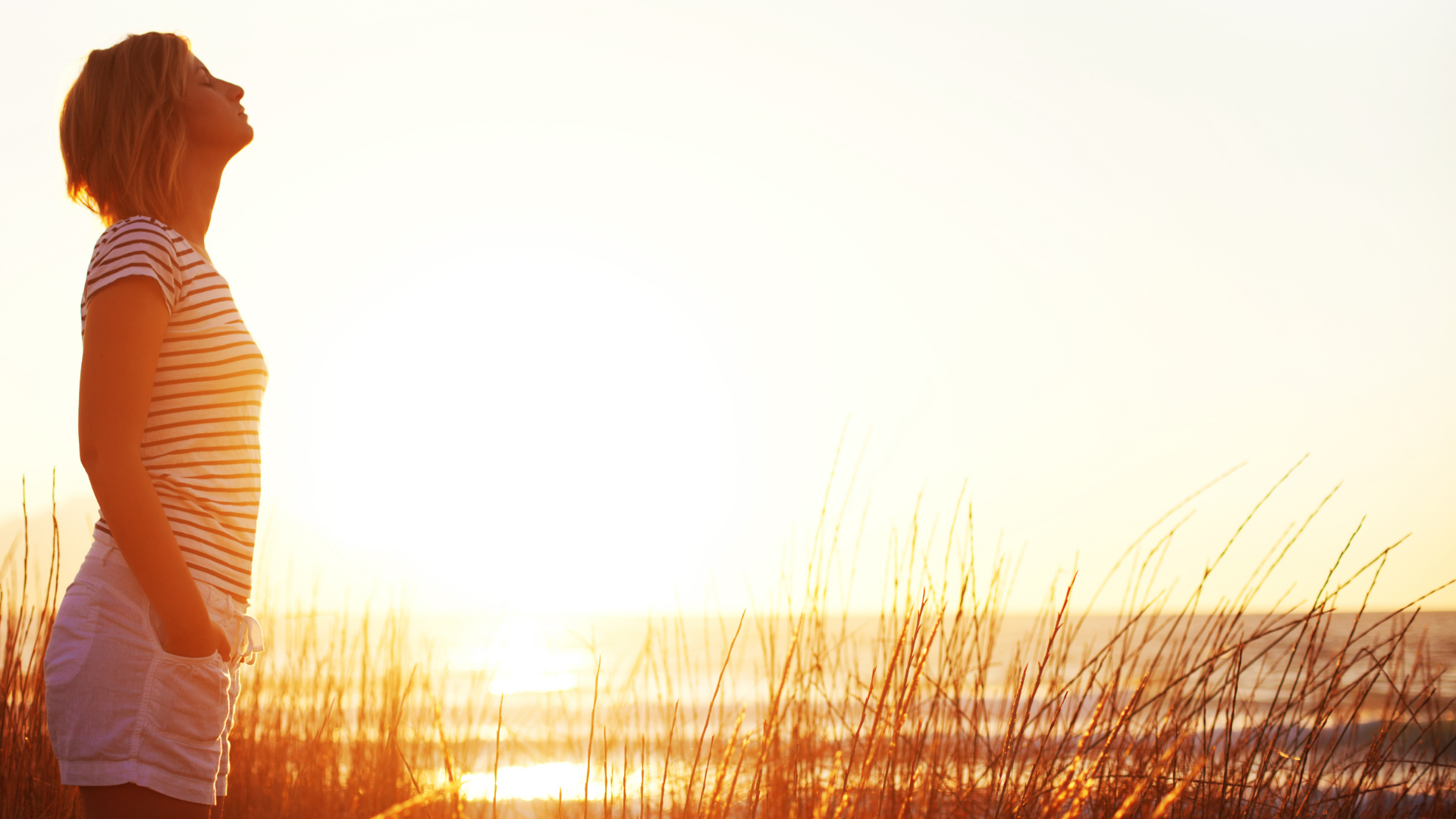 La Voie de l'Instant - Cycle 1