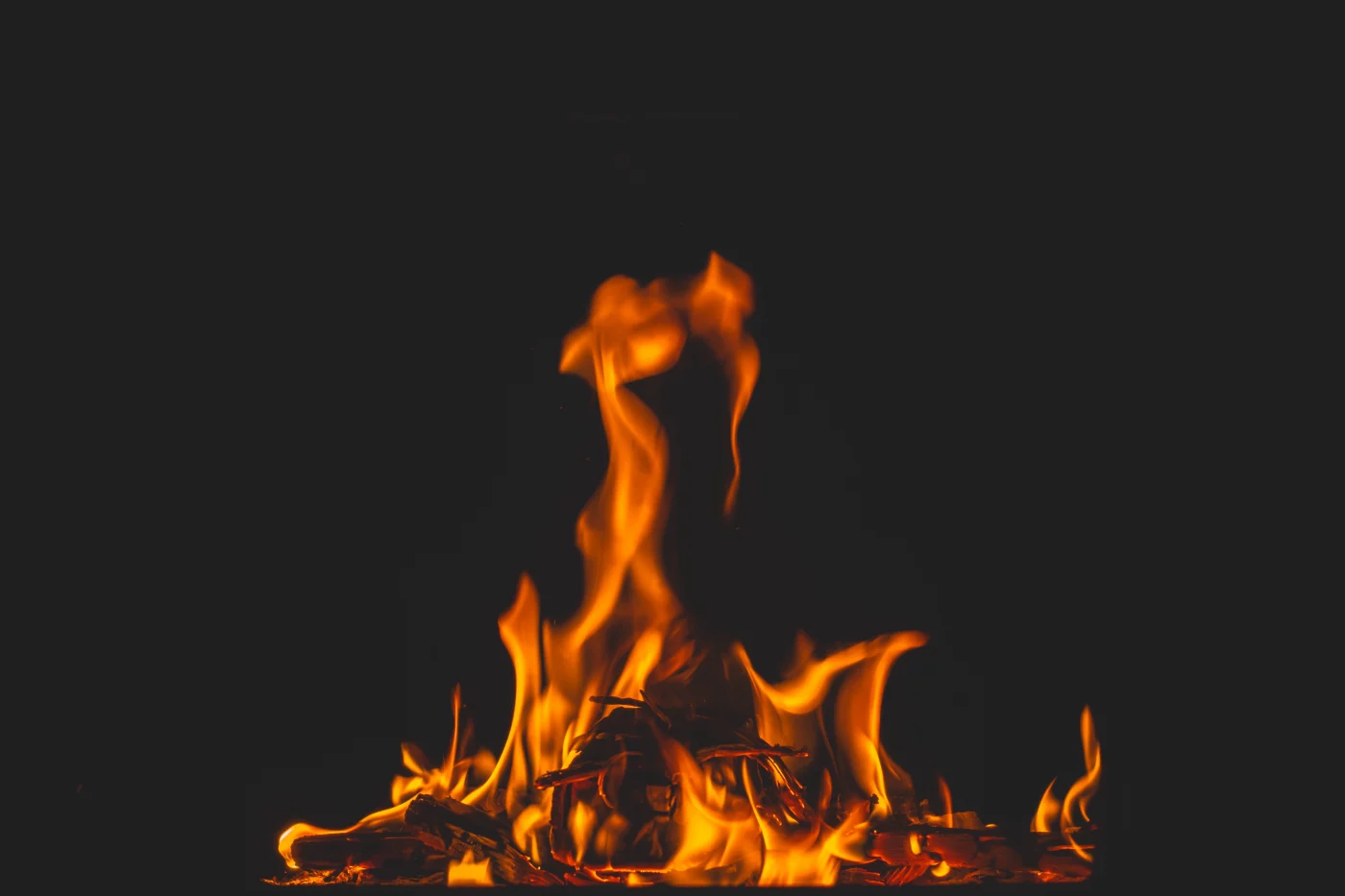 Je l'ai mise au feu!